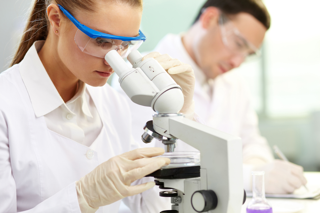 InterChem -