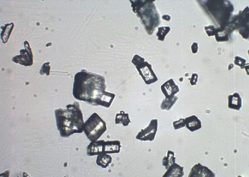 Clophelinum